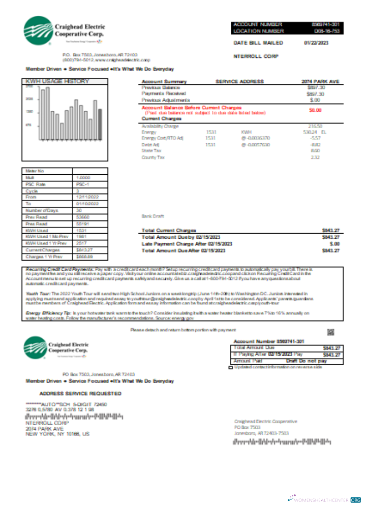 Download Craighead Electric Cooperative utility business bill, SCR Photoshop template